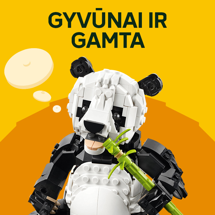 LEGO | XS Žaislai